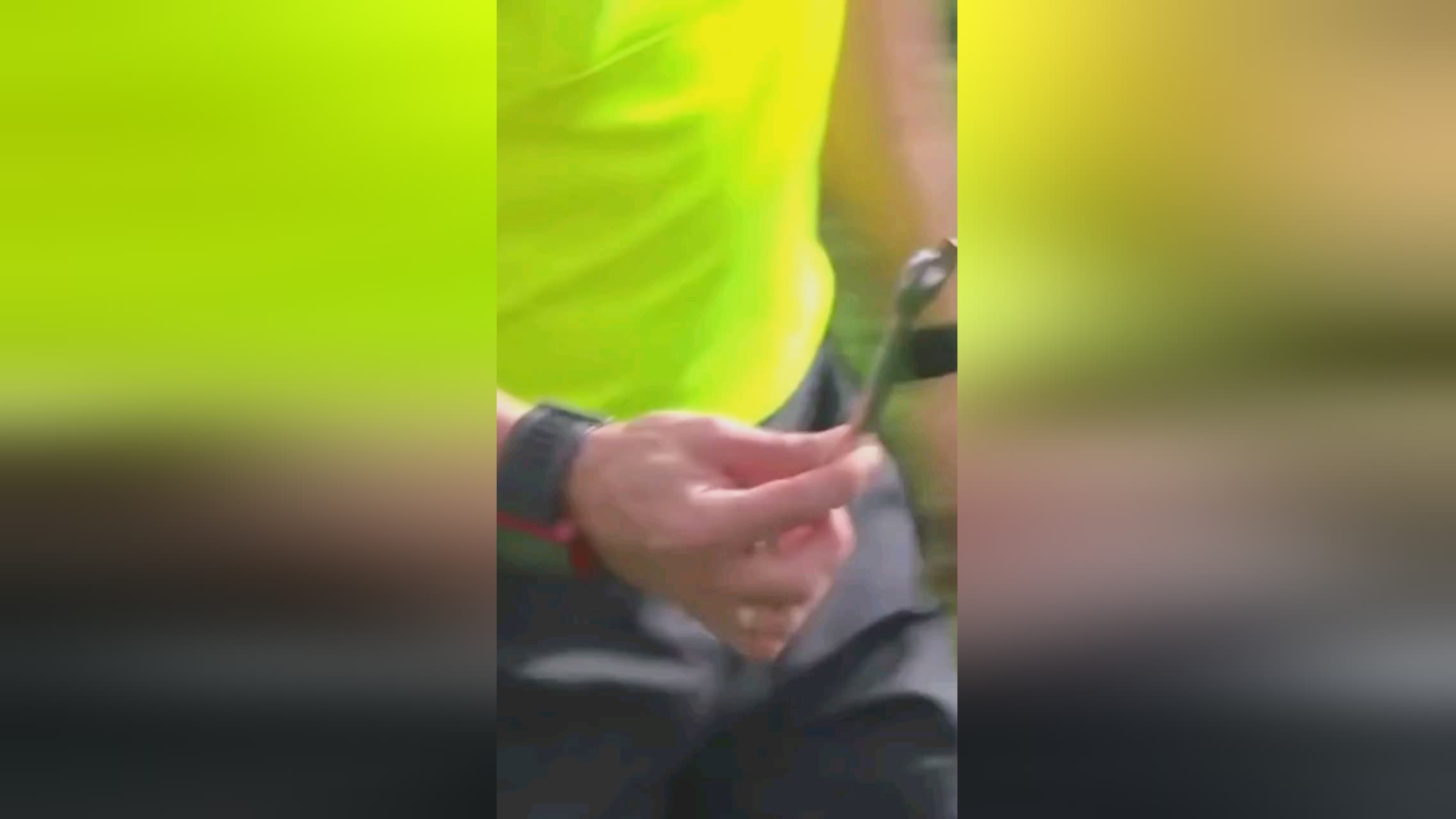 这一举动